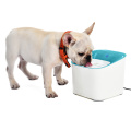 Fabrikpreis Smart Pet Cat Dog Wasserspender